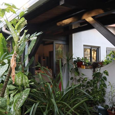 Luxury Cosy Guesthouse Pamplemousses Exteriör bild