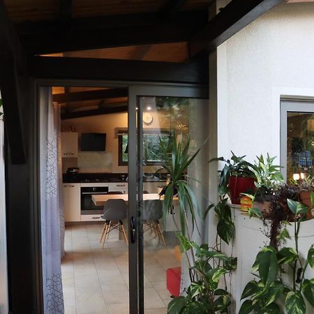 Luxury Cosy Guesthouse Pamplemousses Exteriör bild